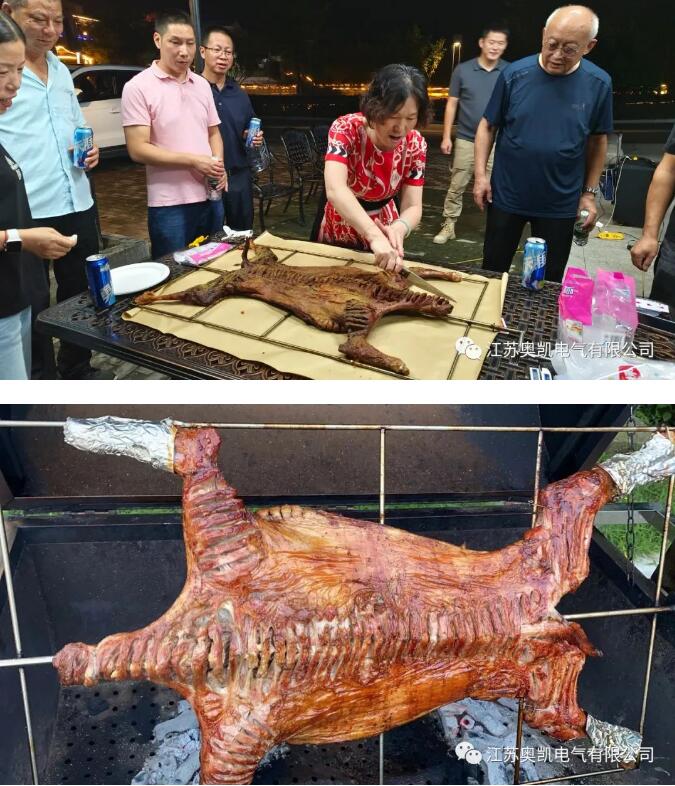 彩88官网电气