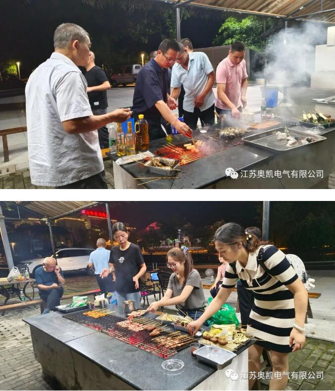 彩88官网电气